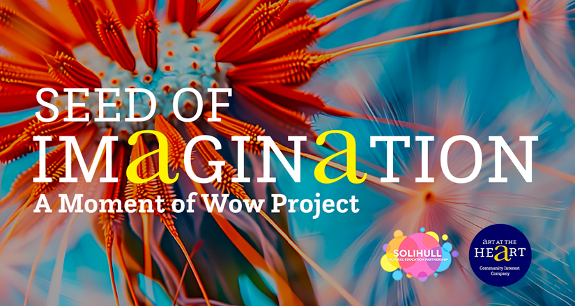 Seed of Imagination