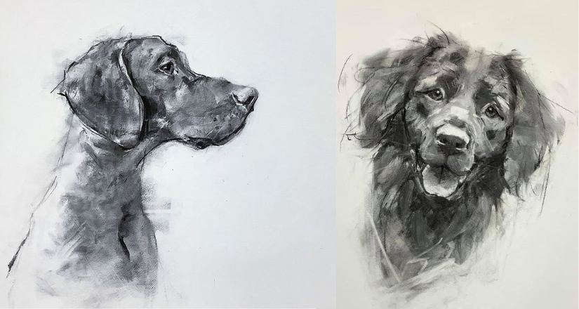 Studio Kavachi - Paws, Poses & Charcoal Drawing Course