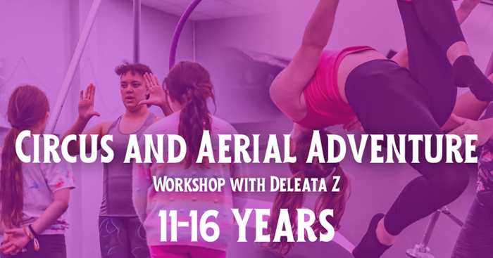 Circus and Aerial Adventure Workshop (ages 11-16)