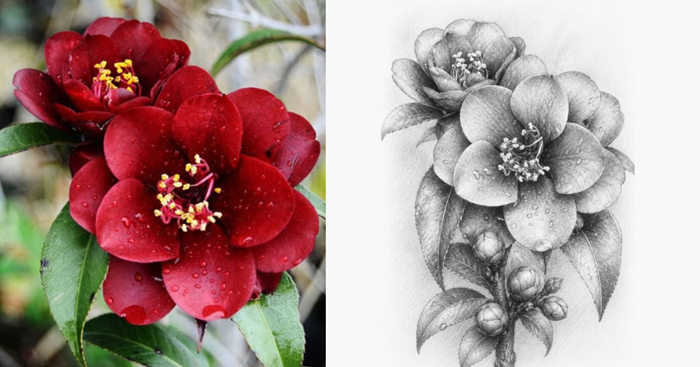 Studio Kavachi: Floral Drawing Course